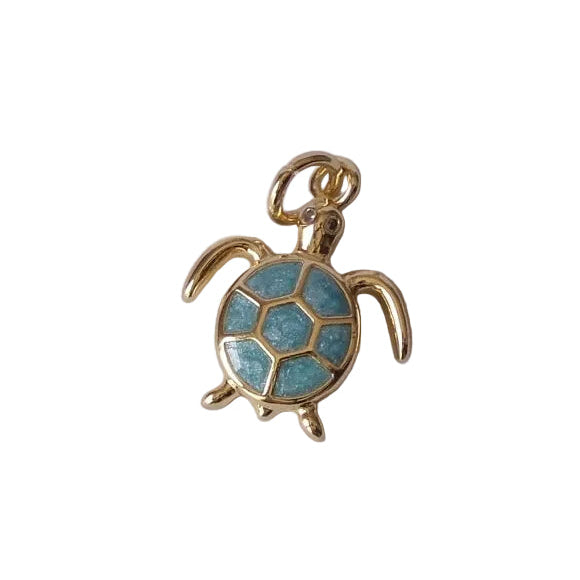 Tortue des Sables