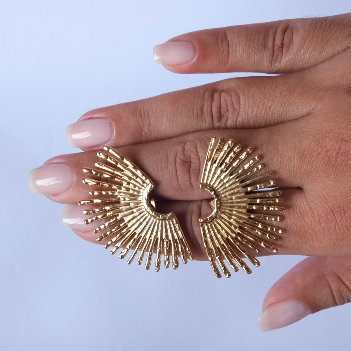 Boucles Palmeraie