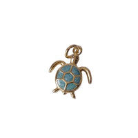 Tortue des Sables