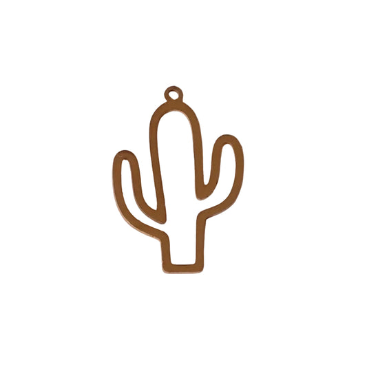 Cactus du Sud